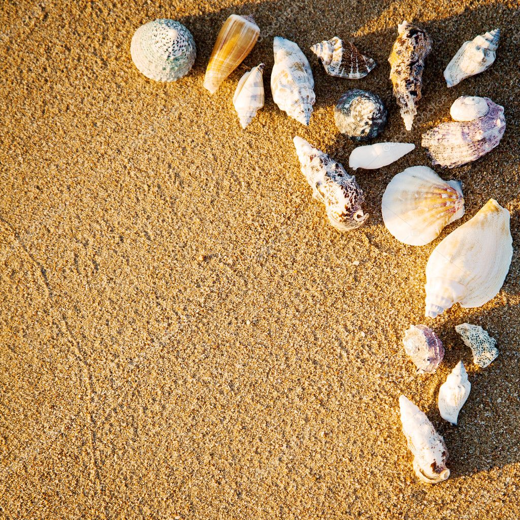 Border From Seashells On Sand — Stock Photo © Yaruta 9716332