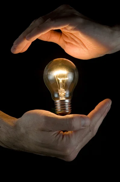 Hands holding a light bulb