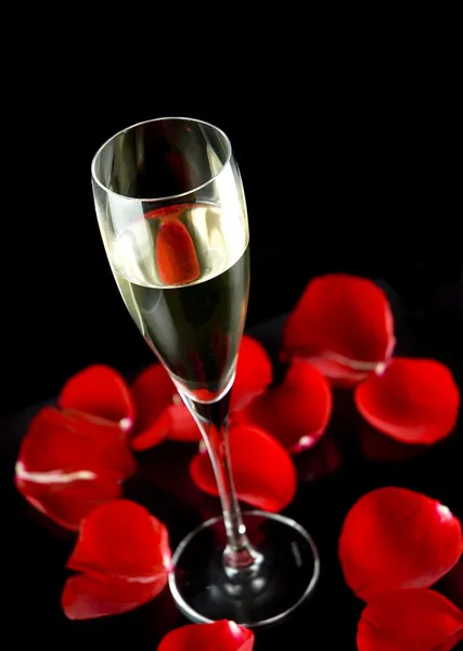 Champagne glass with petals of rose isolated on black background