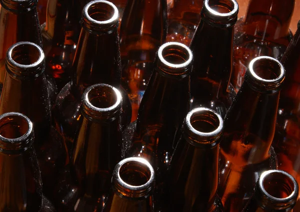 Recycling Beer Bottles