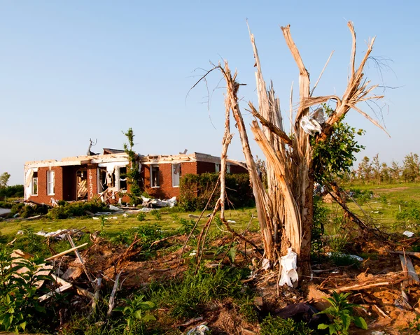 Tornado-damaged land and home in northern Alabama one month after storm.