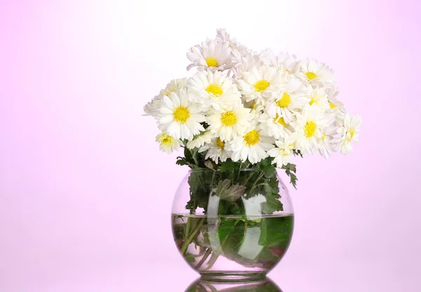 Beautiful bouquet of daisies in vase on pink background