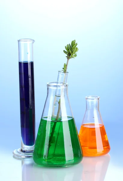 Different laboratory glassware with color liquid on blue background
