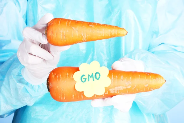 A scientist holds a genetically modified vegetable