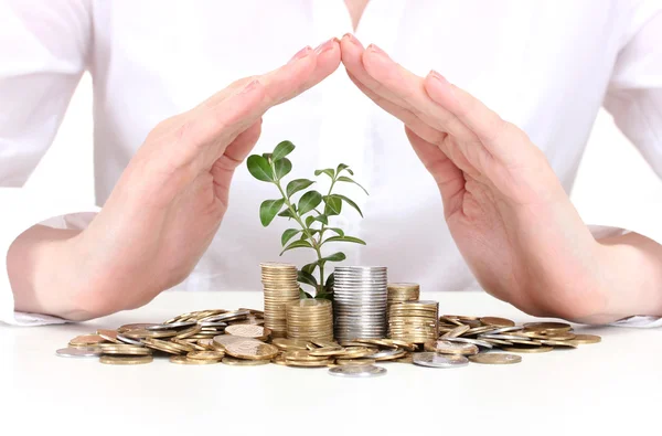 Woman hands with coins and plant isolated on white