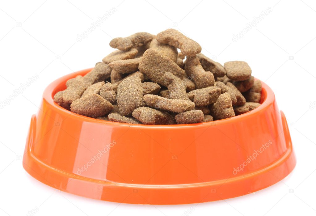 Get homemade dog food portions
