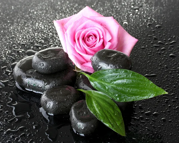 Spa stones with drops, pink rose and green leaves on grey background