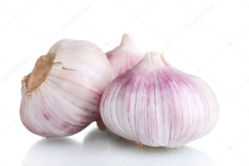 garlic as an alternative component on garlic as an alternative component on