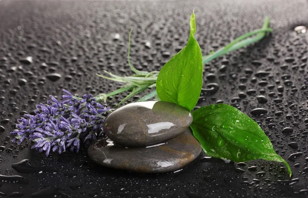 Spa stones with water drops, lavender and leaves on black background