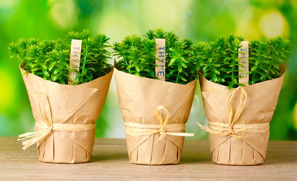 Thyme herb plants in pots with beautiful paper decor on wooden table on green background