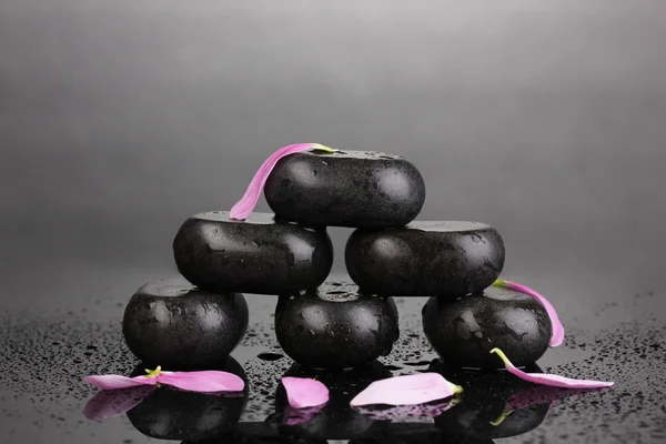 Spa stones and petals with water drops on grey background