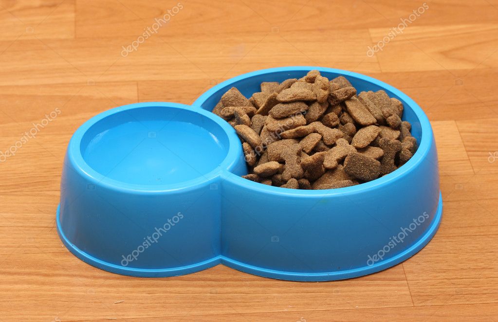 Dry dog food and water in blue bowl on the floor — Stock Photo