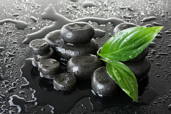 Spa stones with drops and green leaves on grey background