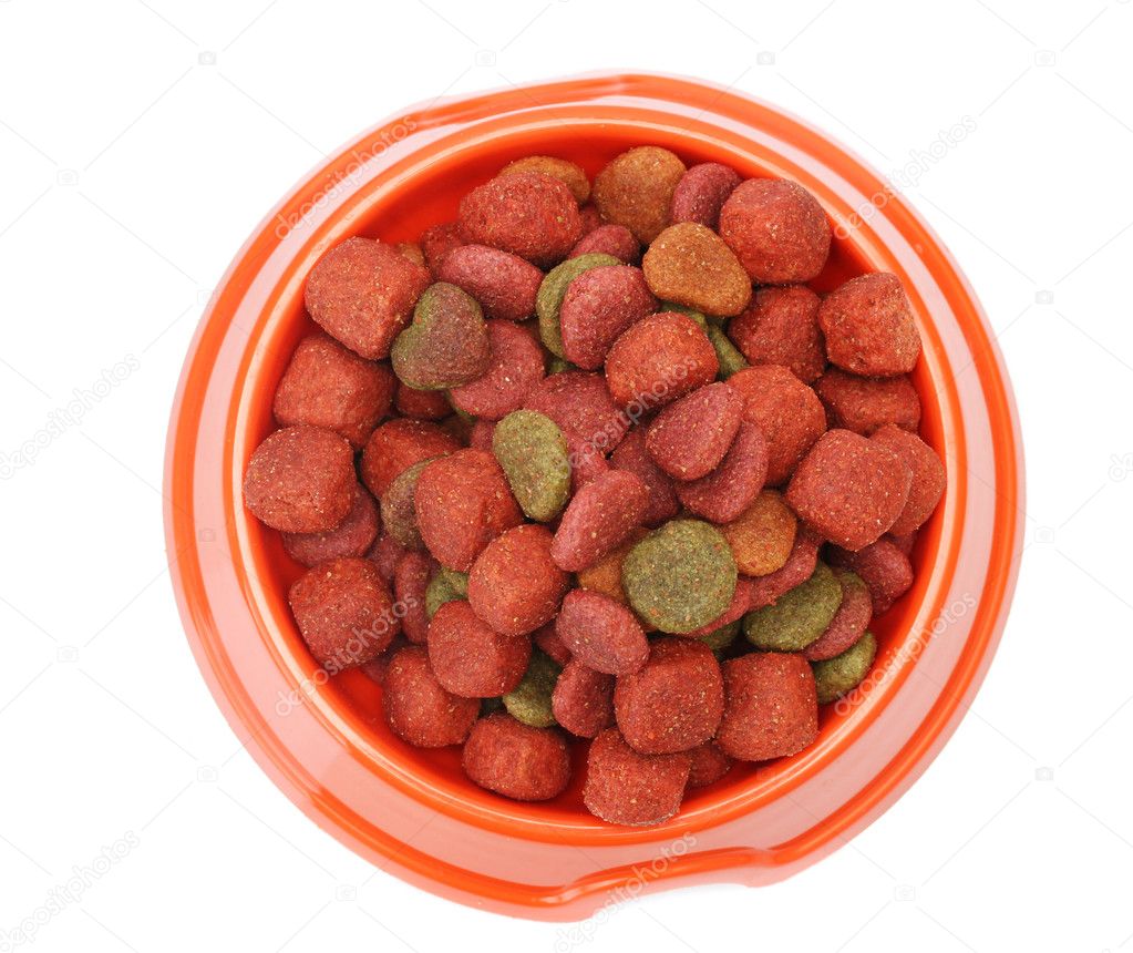Dry dog food in orange bowl isolated on white — Stock Photo