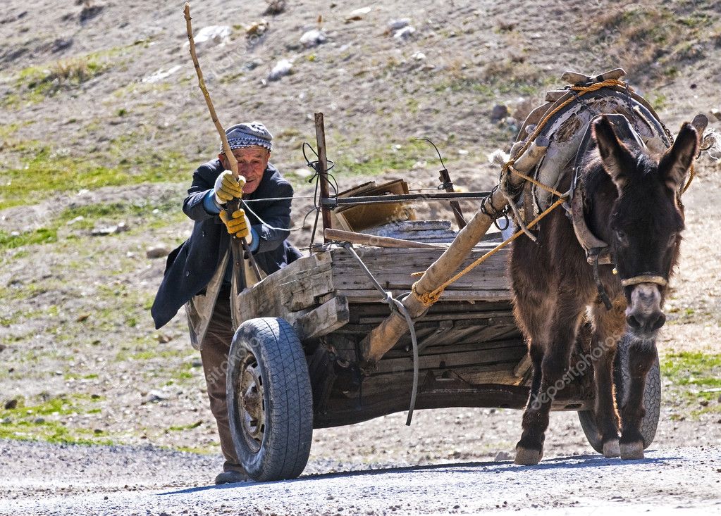 turkish farmer