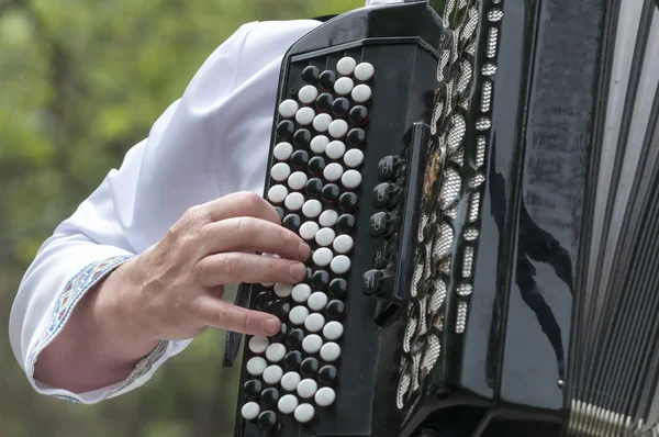 The musician plays an old accordion