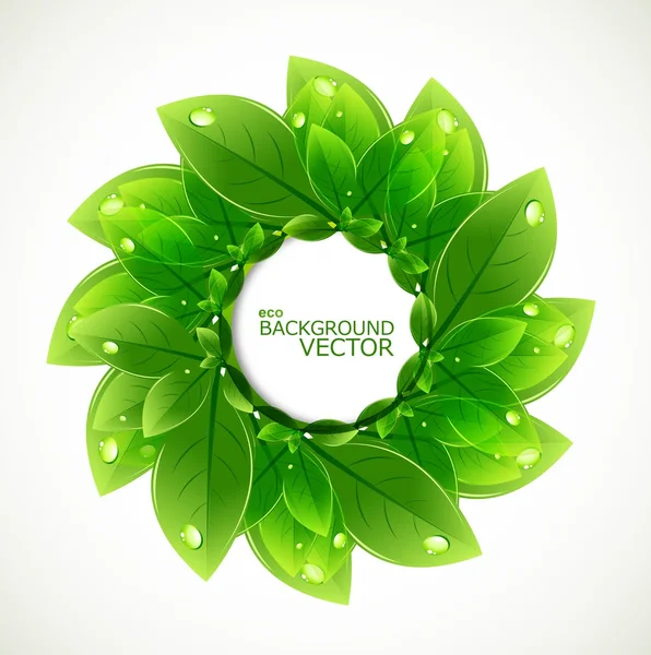 Abstract circle nature leaf ecology vector