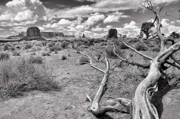 Monument valley black and white landscape view