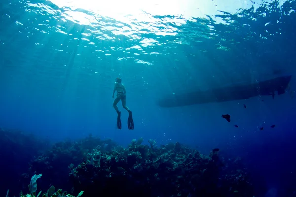 Free diver and boat
