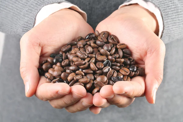 Lots of coffee beans in the hand