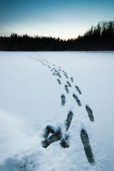 Wet footprints on snow