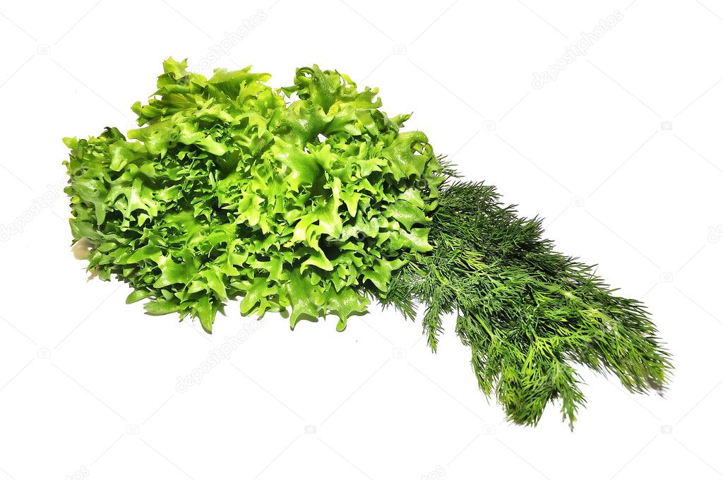 Frillice Lettuce