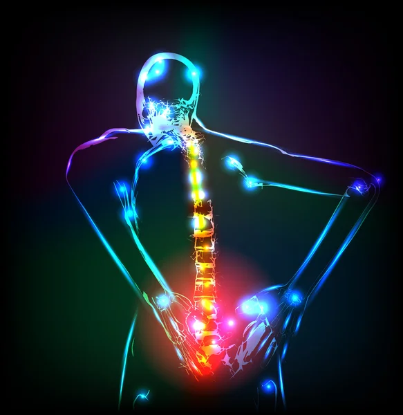 Human backbone in x-ray, back Pain, easy editable