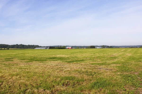 Acreages in the Fraser Valley\'s Farm Country