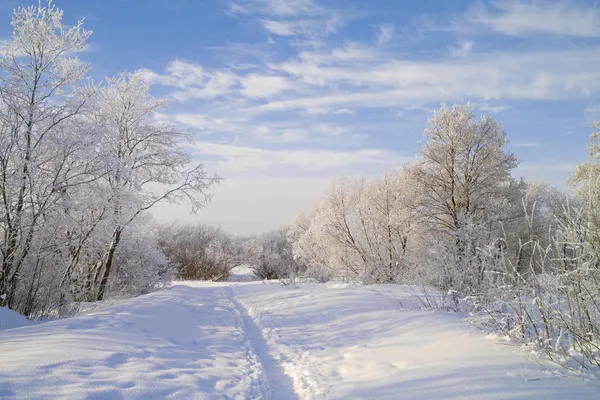 Snow footpath, trees in snow and the blue sky with clouds.