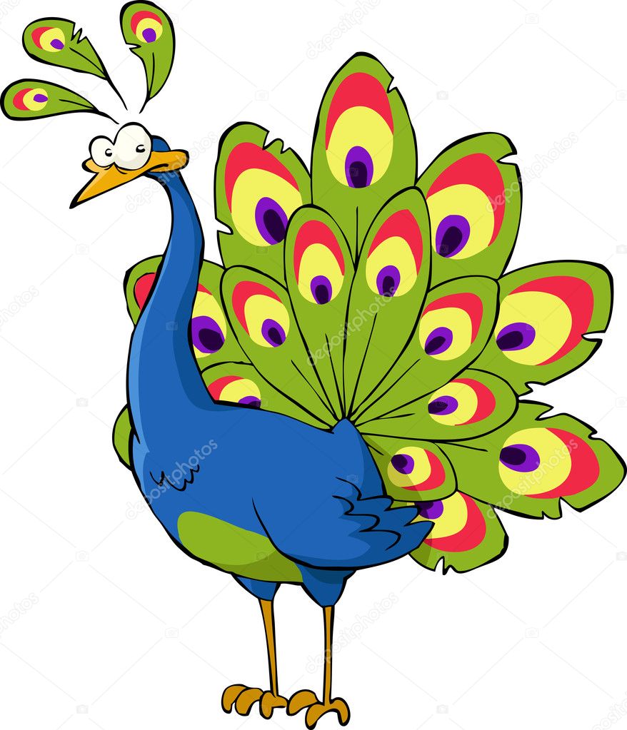 Funny Cartoon Peacock