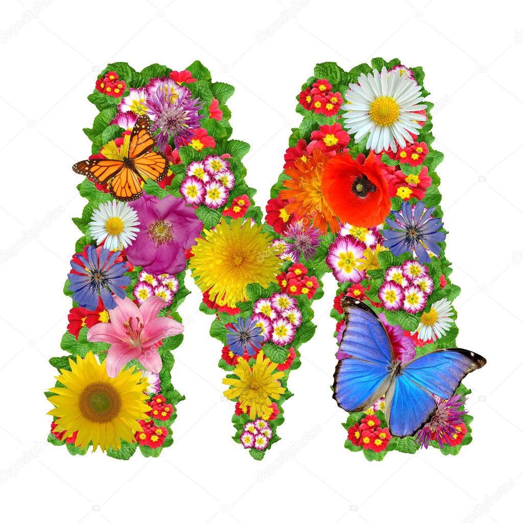 Alphabet Of Flowers And Butterfly Stock Photo By Vencav 8058875