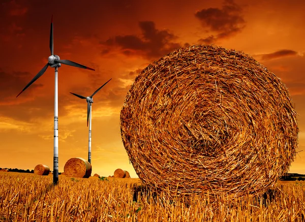 Straw bales on farmland with wind turbine