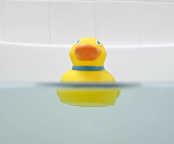 Duck in Bath