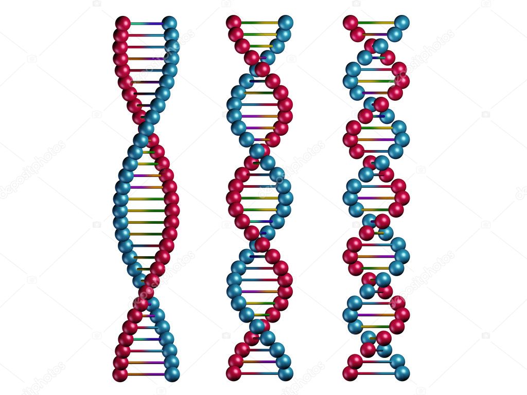 Цепи ДНК, изолированные на белом фоне — Стоковое фото #7991796