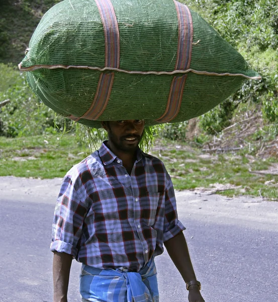 Man carrying bag on head, india