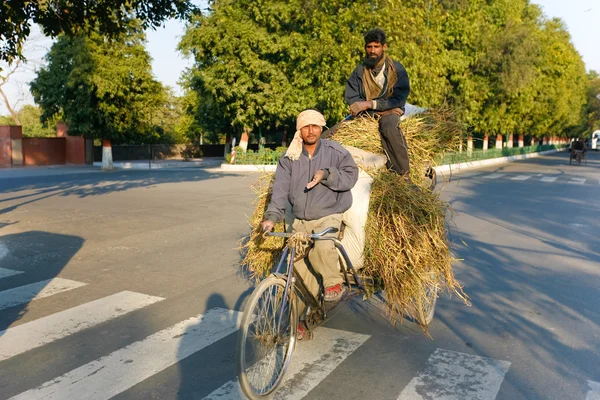 Two men transporting grass using a rickshaw bicycle