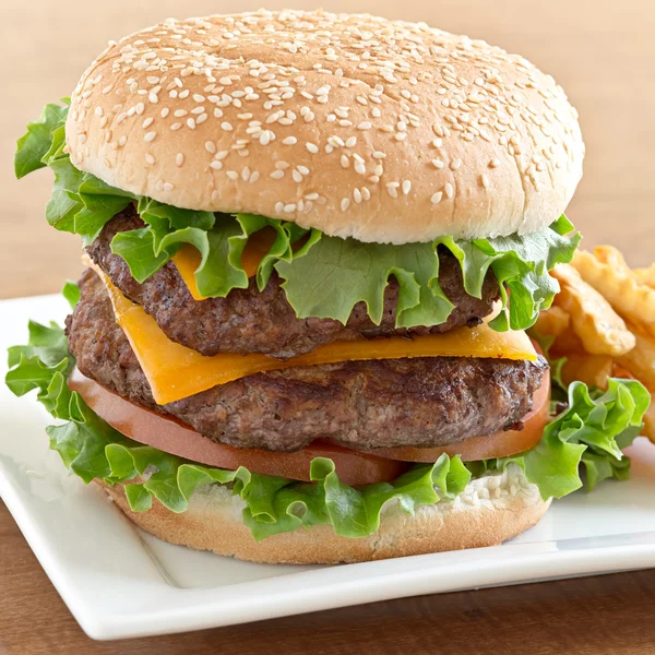 Burger — Stock Photo #8639089