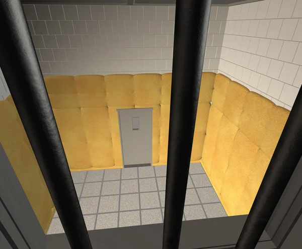 Padded Cell in a Mental Hospital