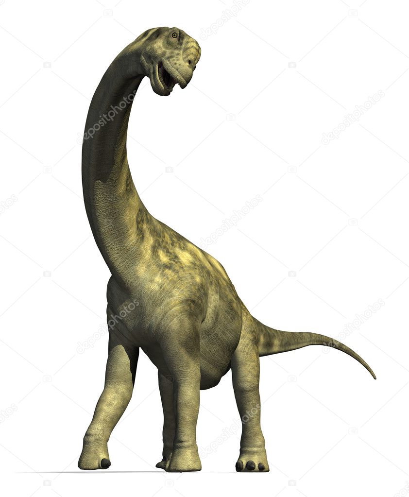 dinosaur with 2 heads