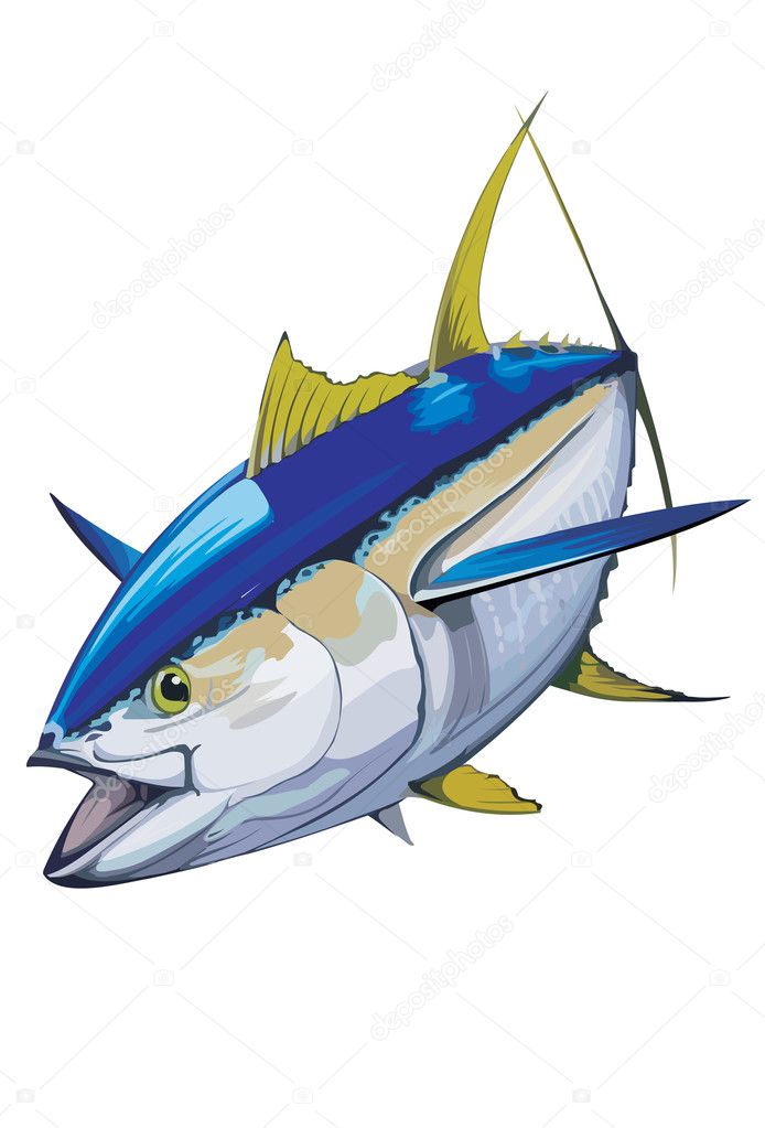 tuna vector