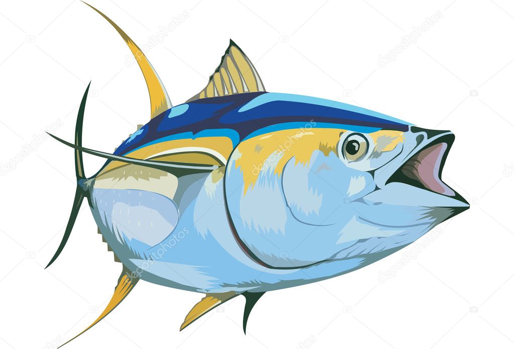 Yellowfin Tuna Fish