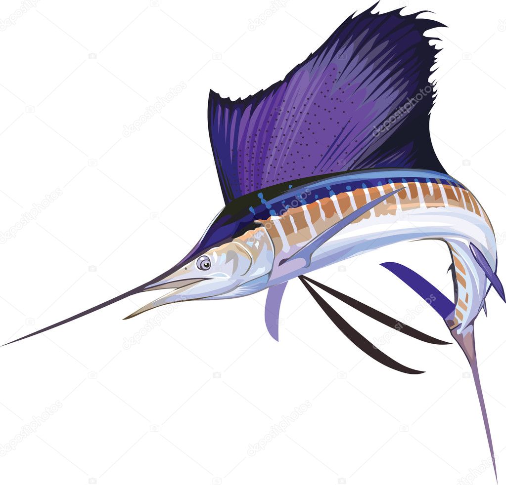Marlin Sailfish
