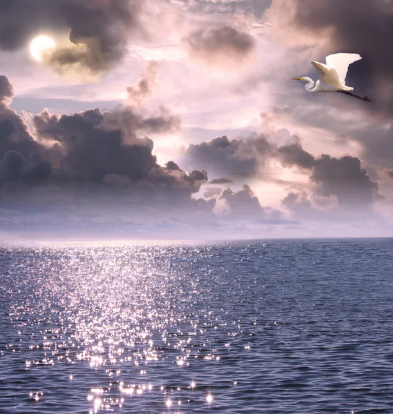 Beautiful white egret flying over the ocean