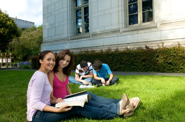 Students studying outdoor