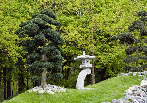 Bonsai trees in japanese garden