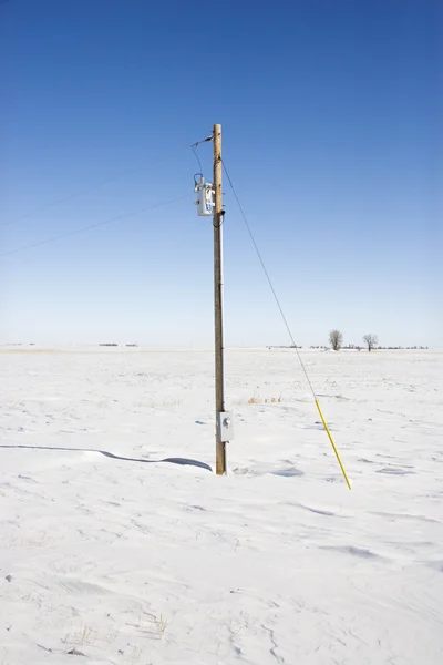 Power line and pole.