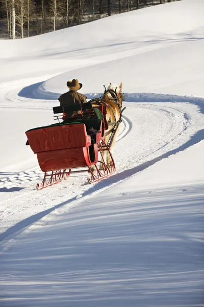 Man in horse drawn sleigh.