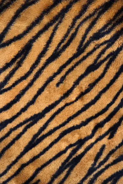 Tiger print carpet.