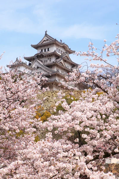 Japan castle with pink cherry blossoms flower