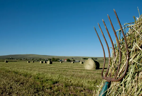 A pitchfork stuck in a bale of hay with a farm landscape in the